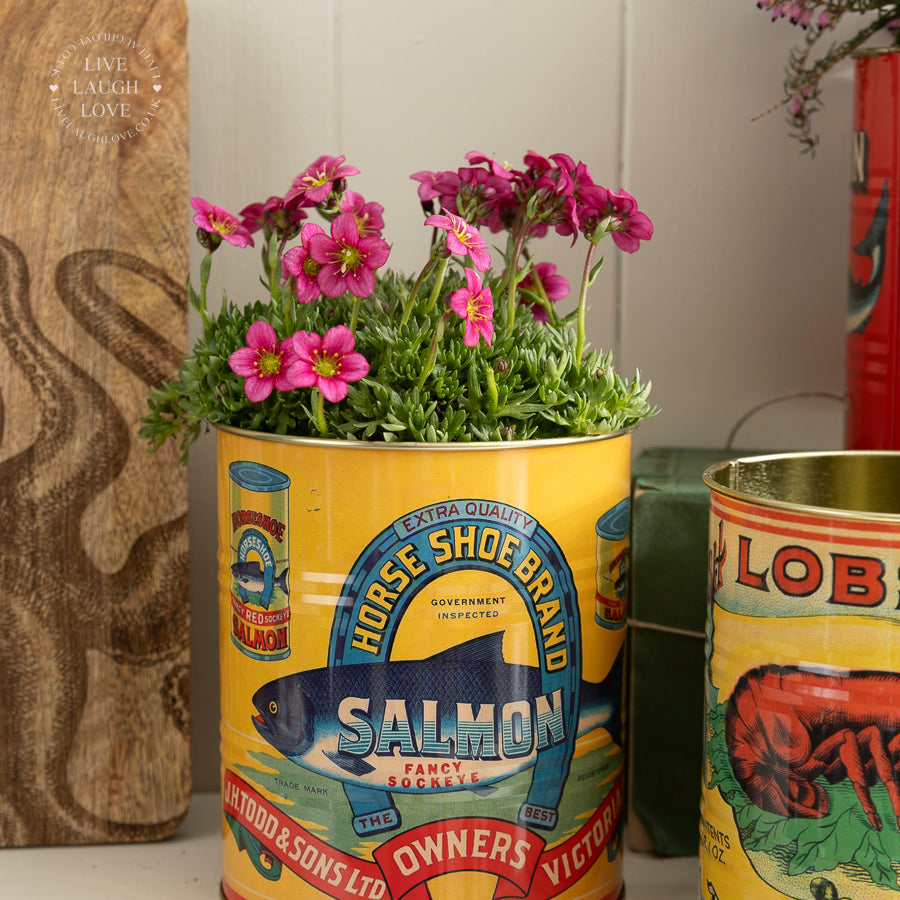 Vintage-Style Seafood Tin Planter – Lobster & Salmon Designs