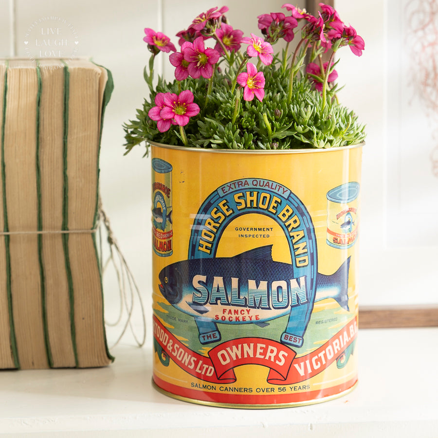 Vintage-Style Seafood Tin Planter – Lobster & Salmon Designs