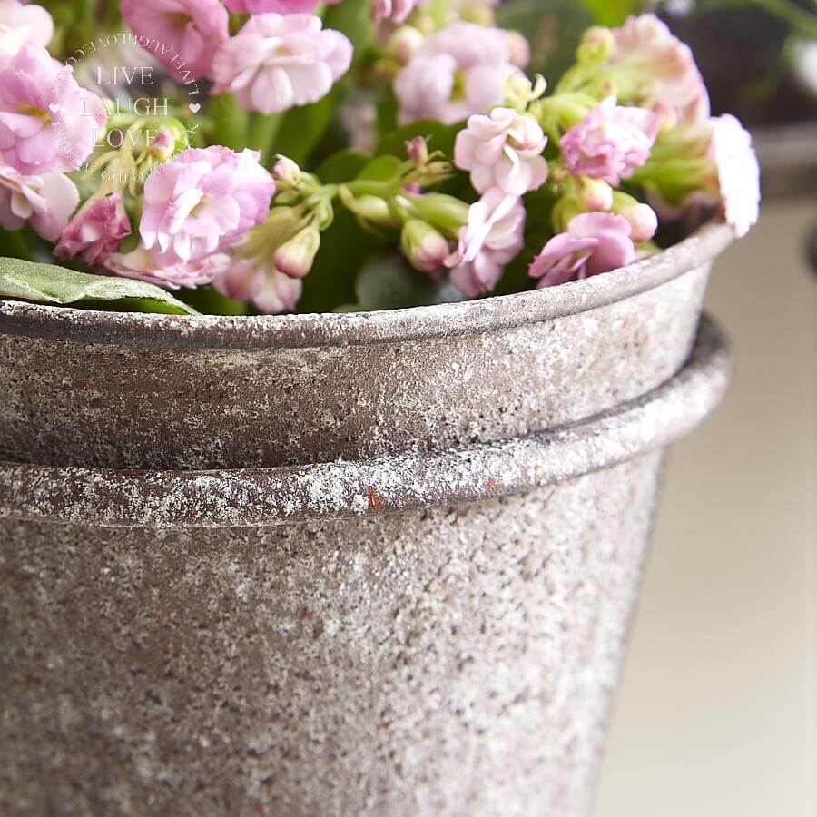 Rustic Vintage Wall Mirror With Triple Planter