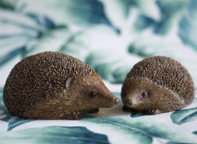 Set of 2 Hedgehogs