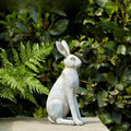 Sitting Stone Effect Grey Hare